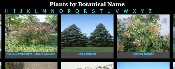 Plants listed by Botanical name