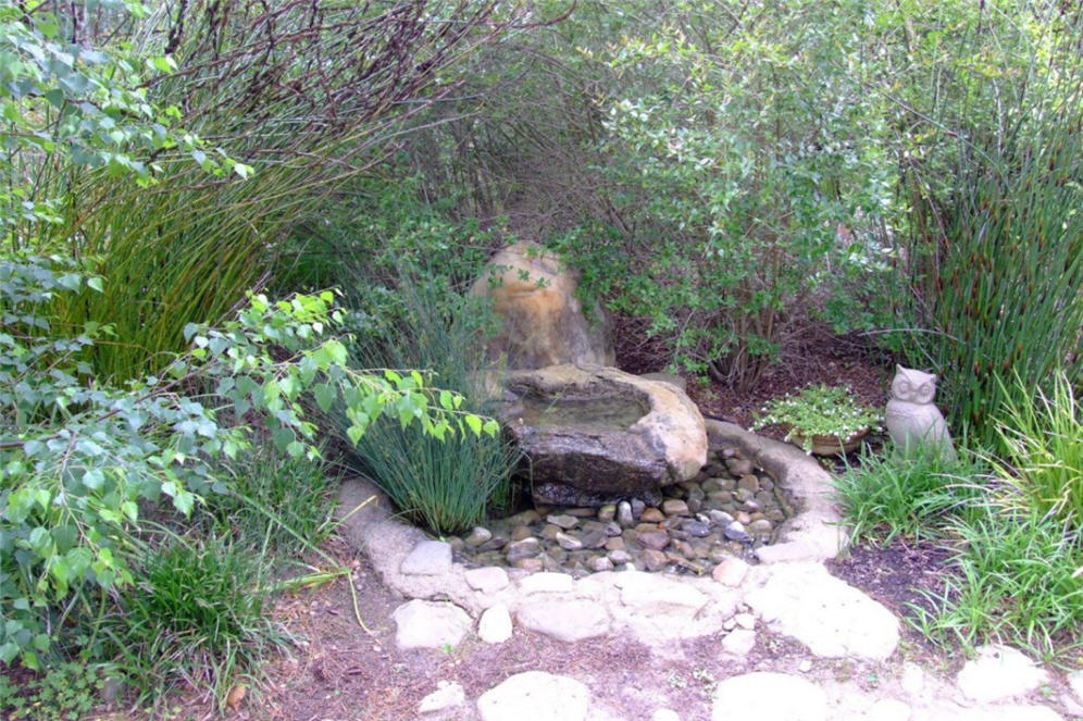 Owl and Water Feature