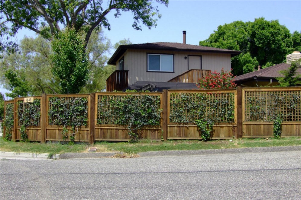 Trellis and Fence Combination