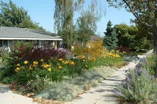 Water Wise Gardening And Landscaping In, Landscaping Santa Barbara