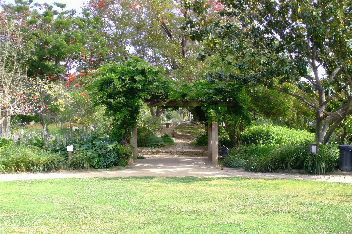 Inviting Arbor