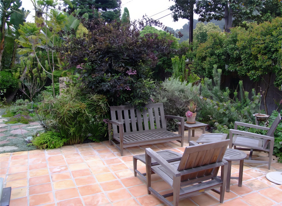 Patio and Garden