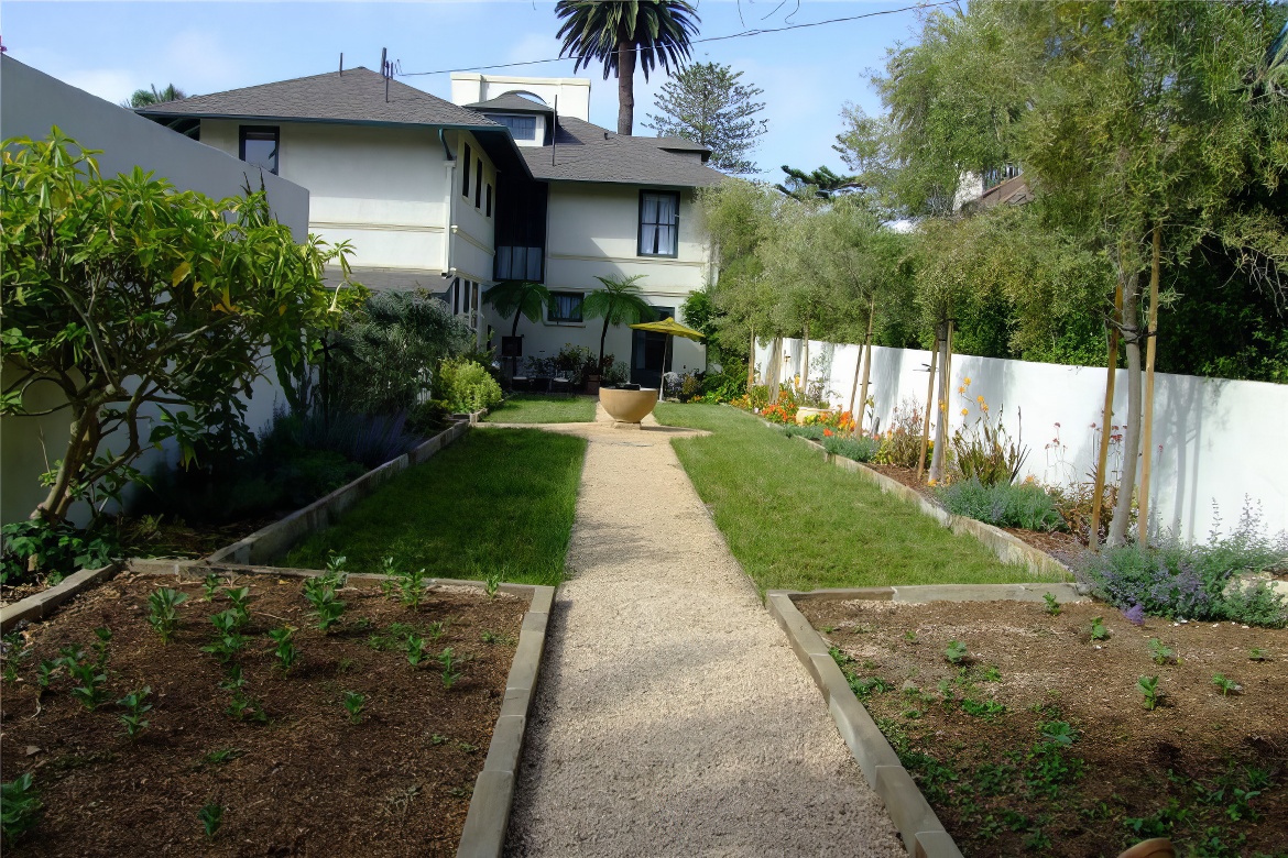 Long Straight Pathway