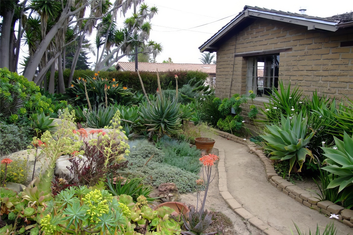 Succulent Garden Theme