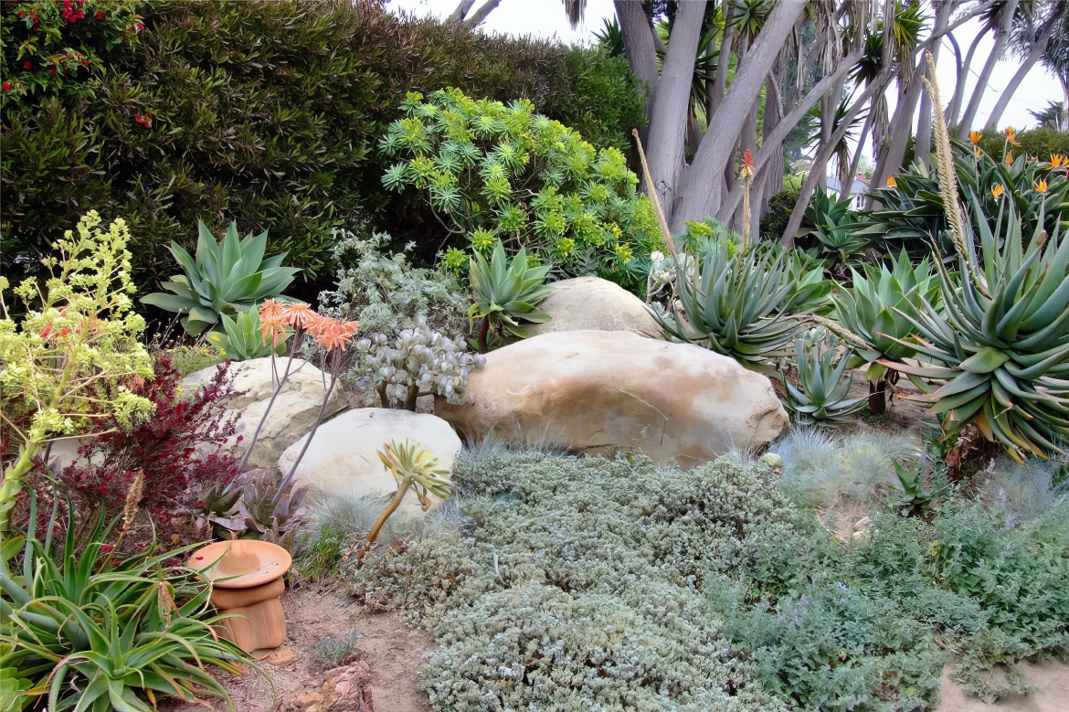 Rock and Succulent Haven