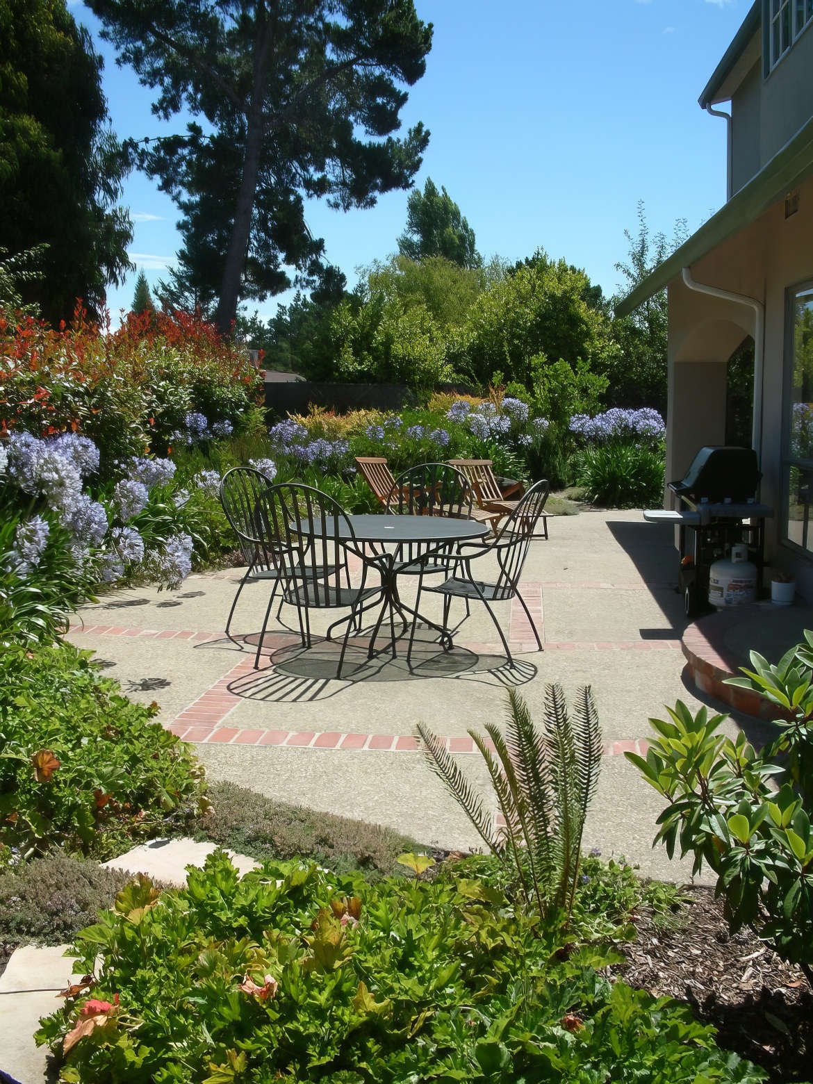 Patio and Agapanthus