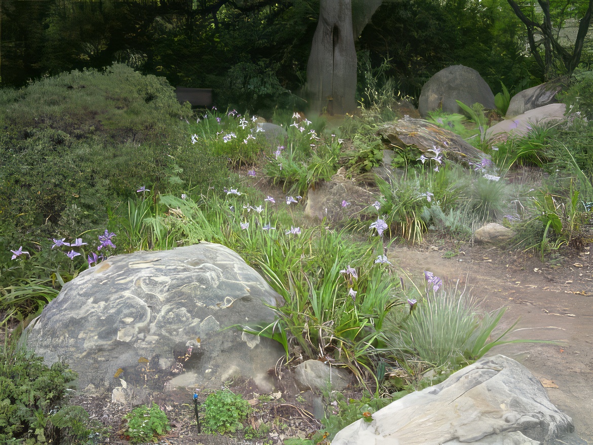 Boulders and Flowers
