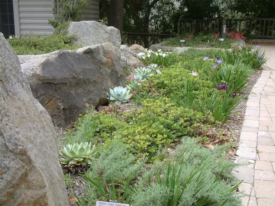 Succulent and Boulder Strip