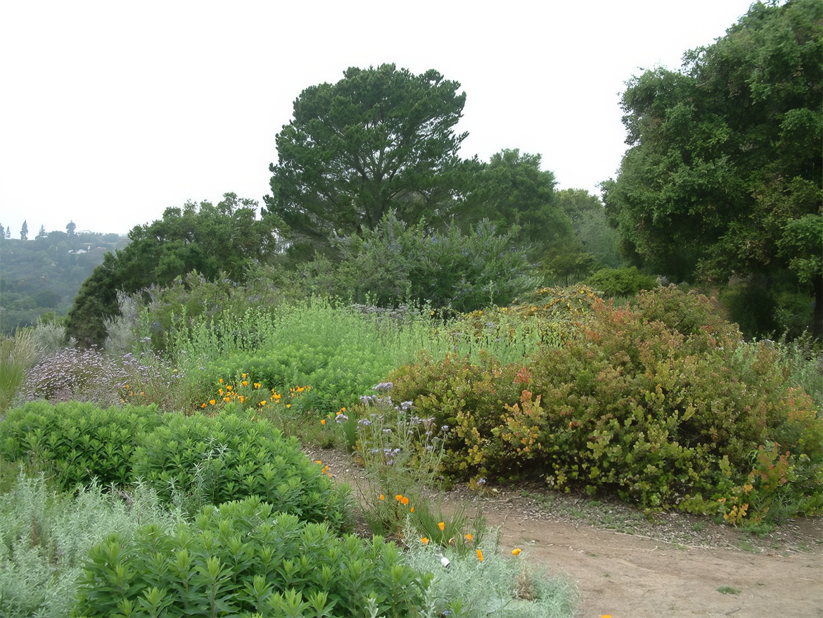Hiking Trail Beauty