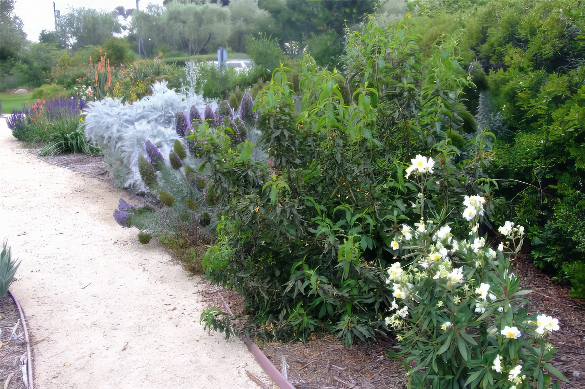 Montecito Demo Garden 2