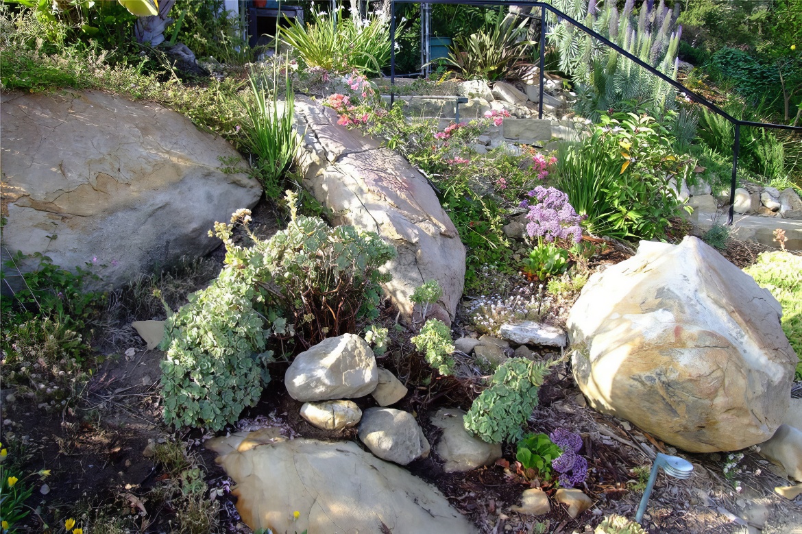 Inspiration Among the Rocks