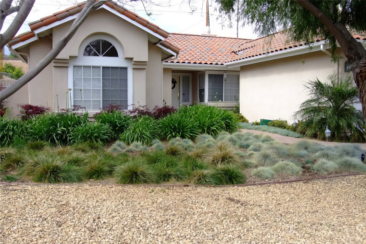 Low Ornamental Grasses