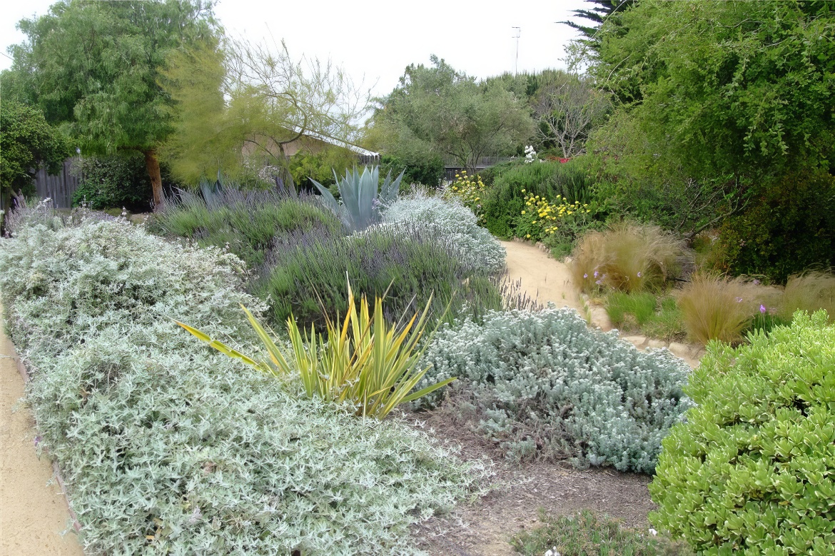 Carpinteria Demo Garden Bed