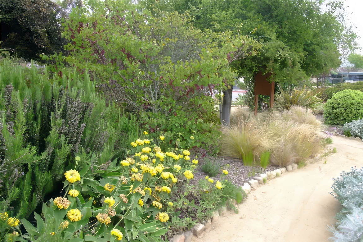 Carpenteira Demo Garden Perennial Border