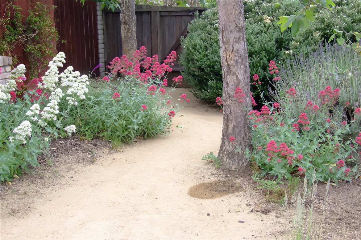 Colorful Pathway