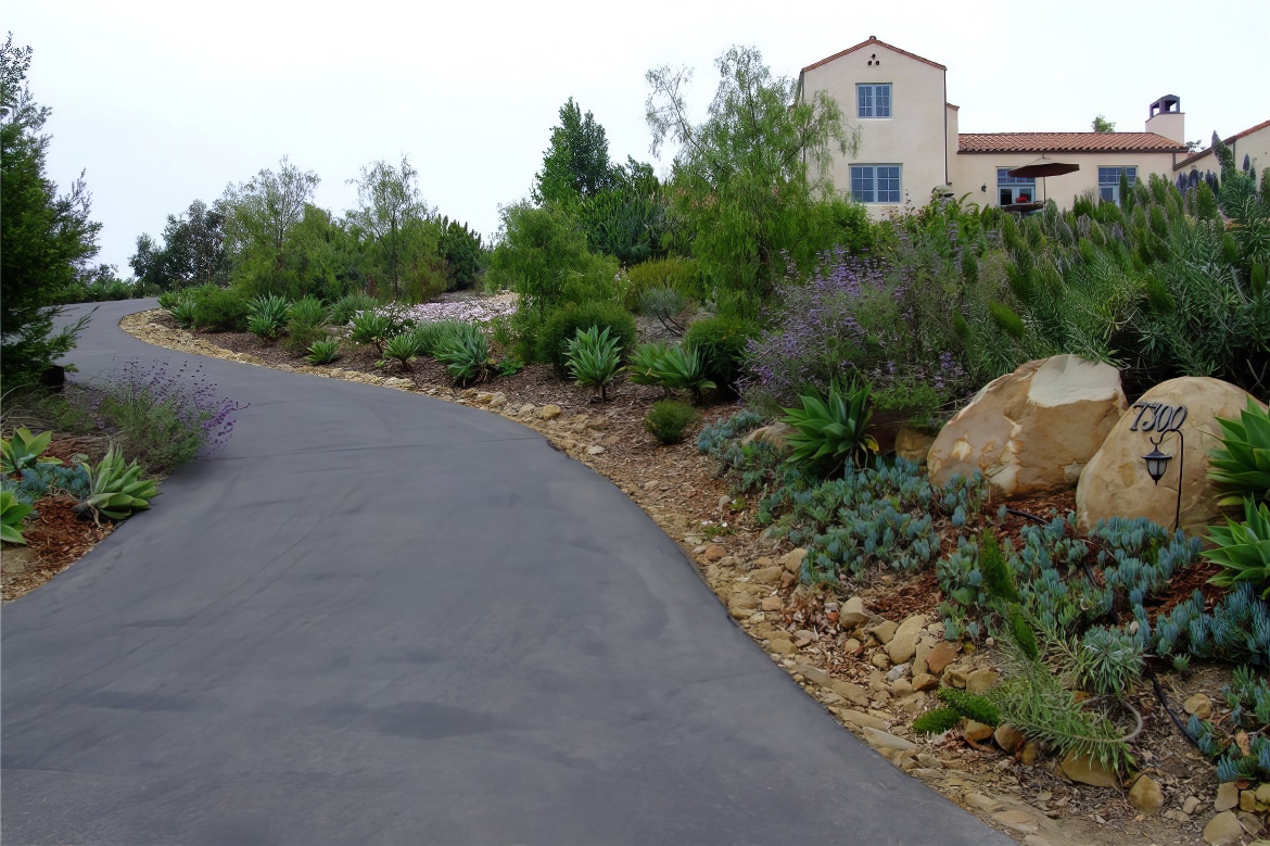 Succulent Edged Accents