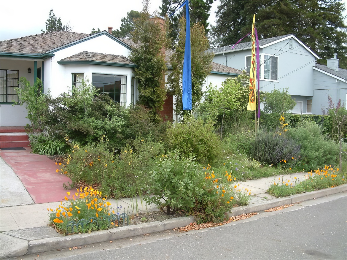 Flags in the Garden