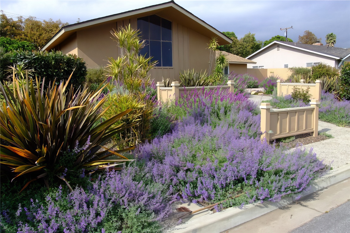 Feral but Magical Garden