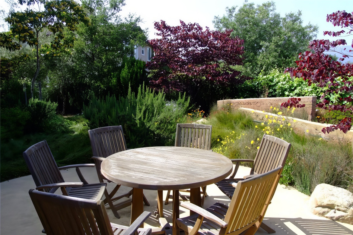 Sunny Patio and Seating