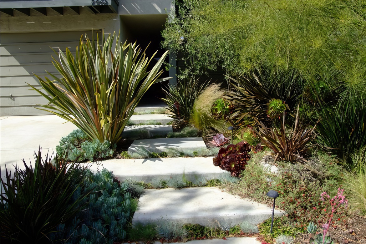 Lovely Stepping Stones