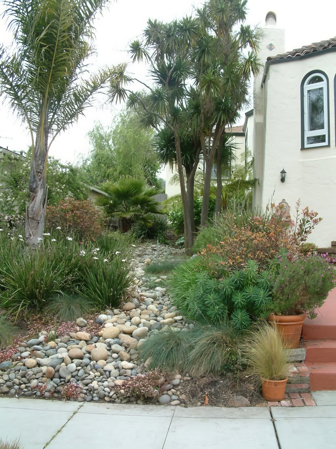 Meandering Creek Bed