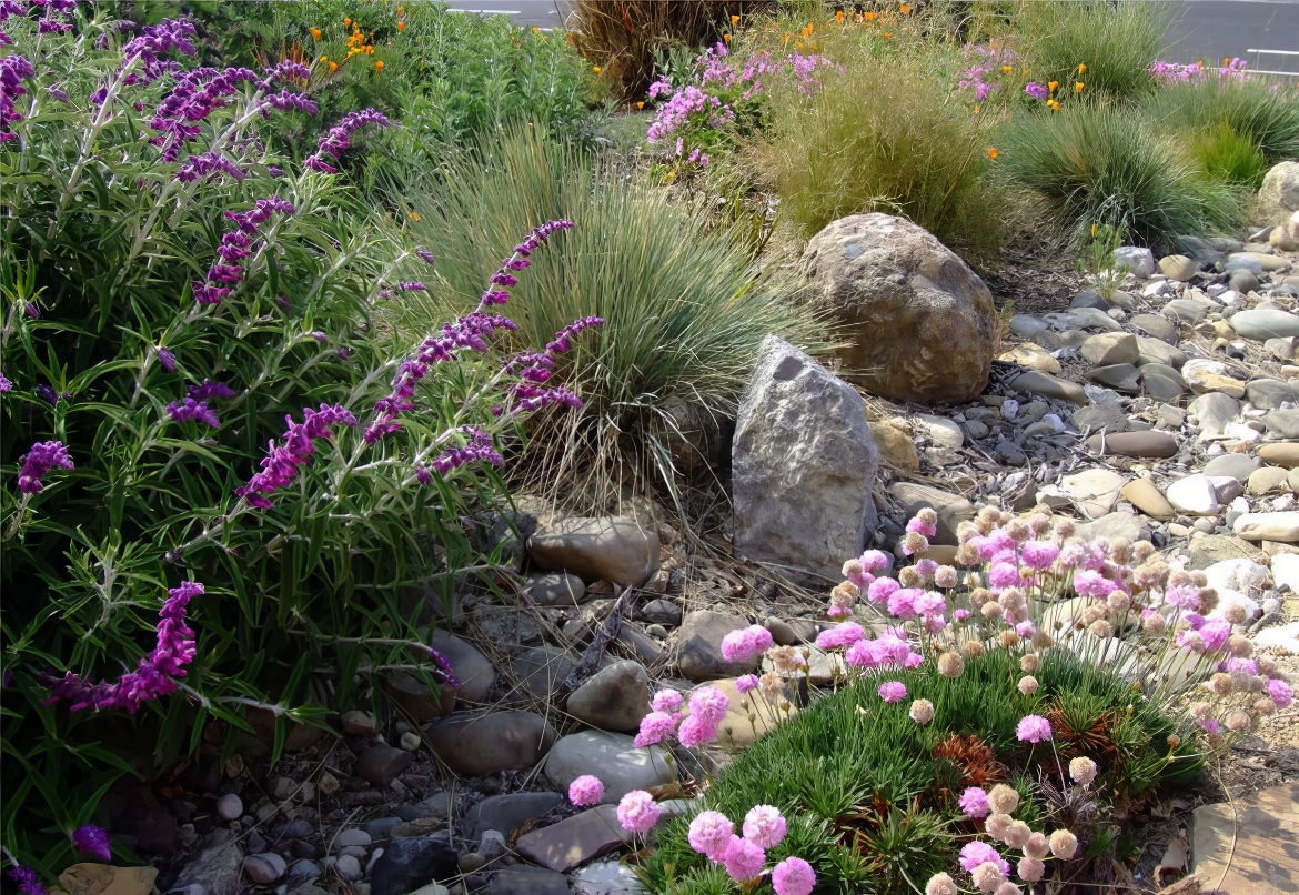 Hues of Pink