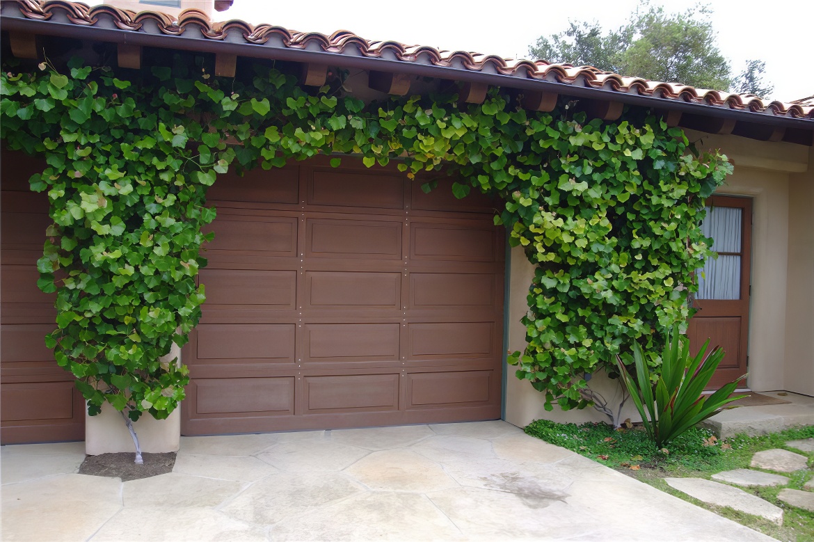 Garage Greenery