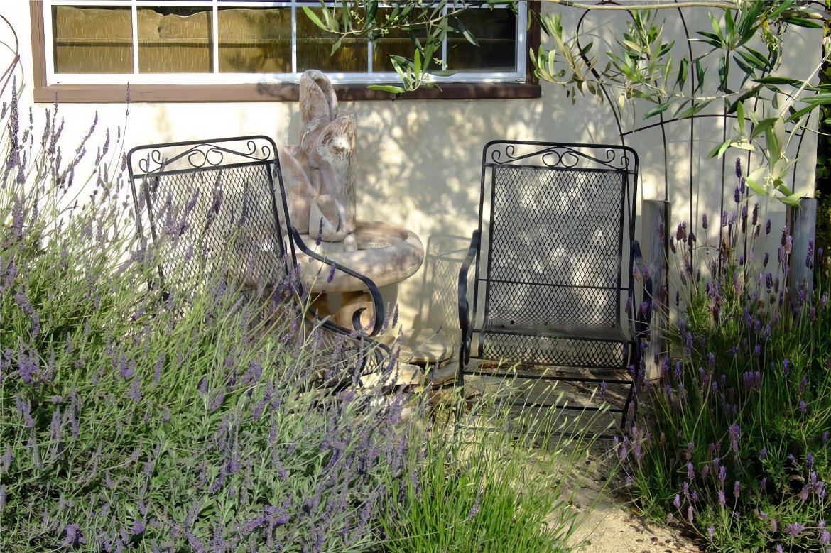 Leaping Lavenders