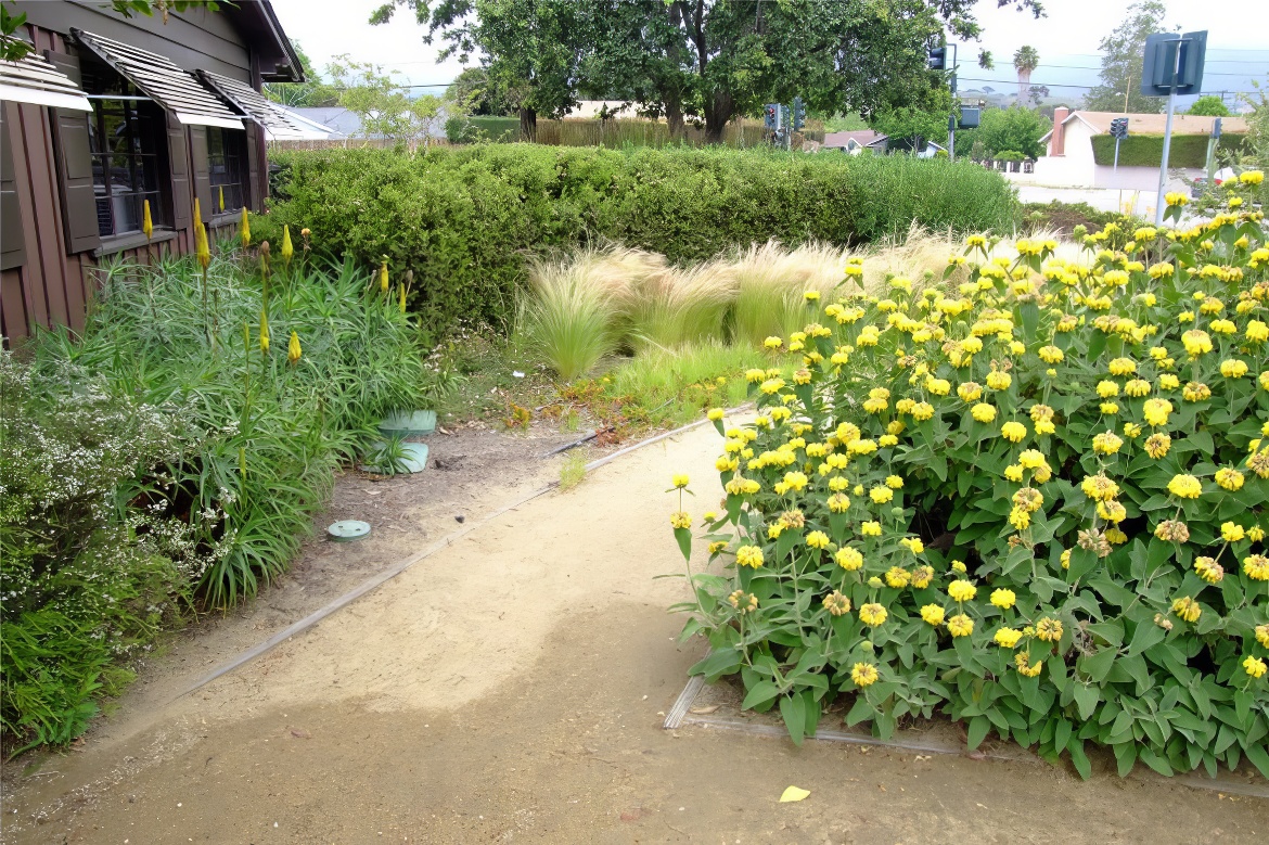 Goleta Demo Garden 3