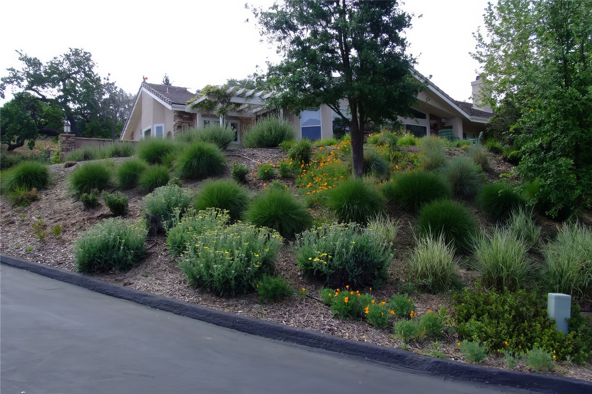 Mounds of Living Color