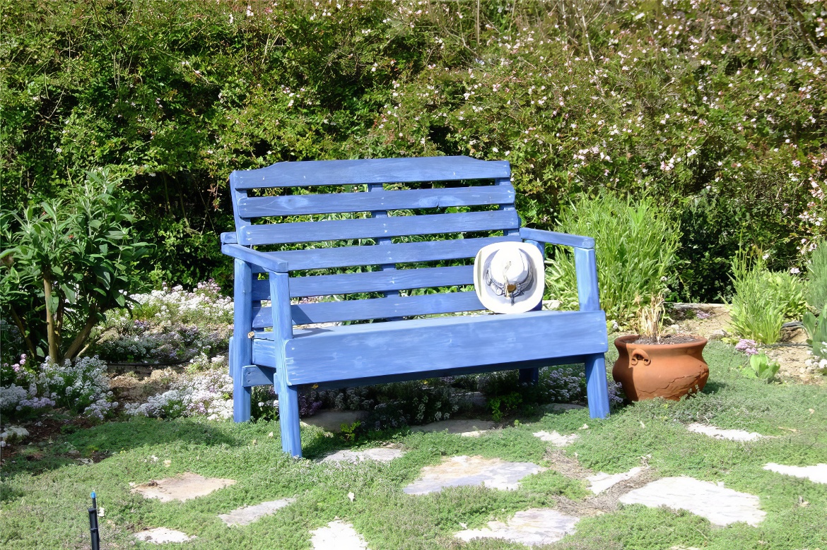 Sky Blue Bench