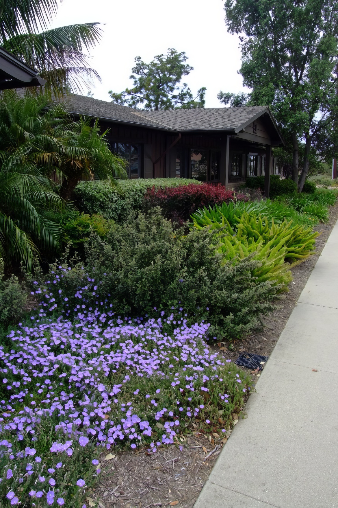 Goleta Demo Garden 5